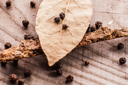 bay leaf and black pepperの写真素材