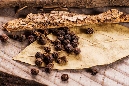 bay leaf and black pepperの写真素材