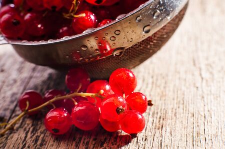 Fresh red currantsの写真素材