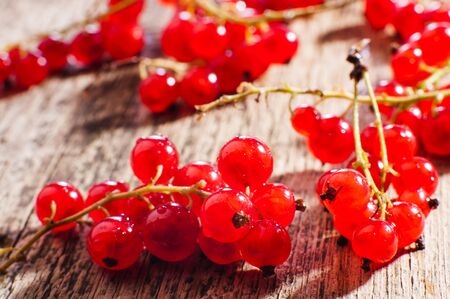 Fresh red currantsの写真素材