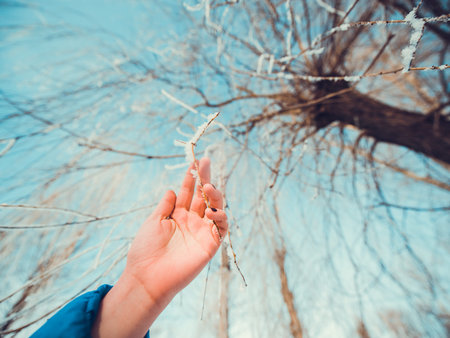 Concept tree frozen hands rise up