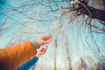Concept tree frozen hands rise upの写真素材