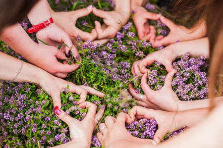 Hands of young people in the nature, team conceptの写真素材
