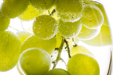 Green grapes in water. Water drops spray.の写真素材