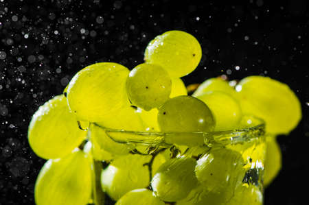 Green grapes in water. Water drops spray.の写真素材