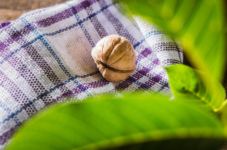 Green walnuts leaves.Walnuts in a wooden plate and walnut kernels. gray background. top view