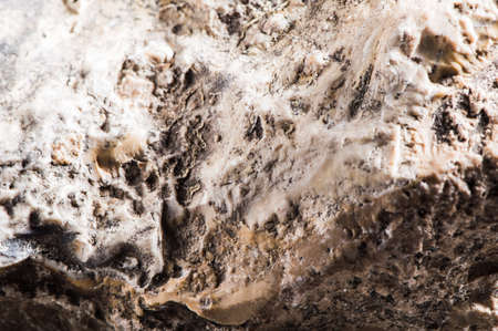Different marble concrete textures.の写真素材