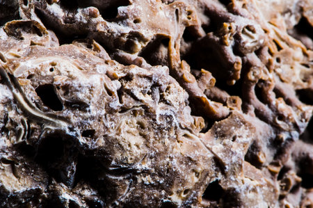 Different marble concrete textures.の写真素材