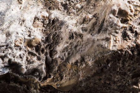 Different marble concrete textures.の写真素材