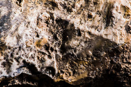 Concrete marble gravel, stone texture.の写真素材