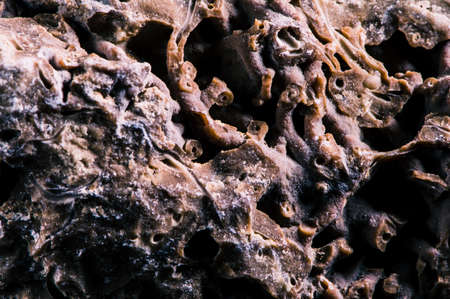 Concrete marble gravel, stone texture.の写真素材