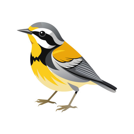 Illustration of a realistic birdのイラスト素材