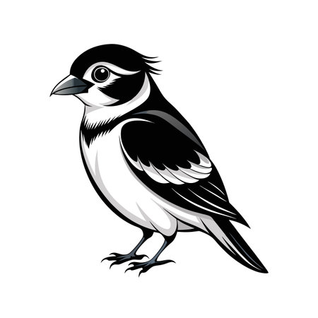 Illustration of a realistic birdのイラスト素材
