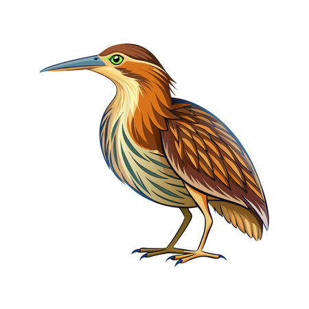 Illustration of a realistic birdのイラスト素材