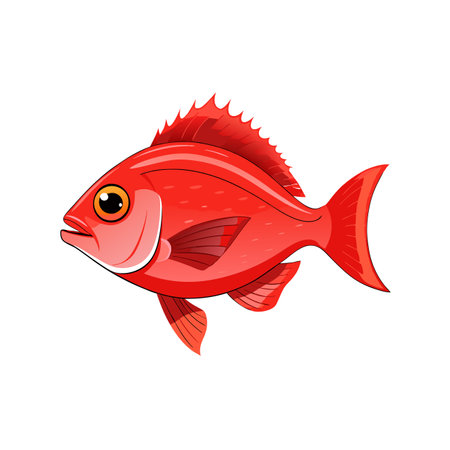 Red fish isolated on white background. Vector illustration in cartoon style.のイラスト素材