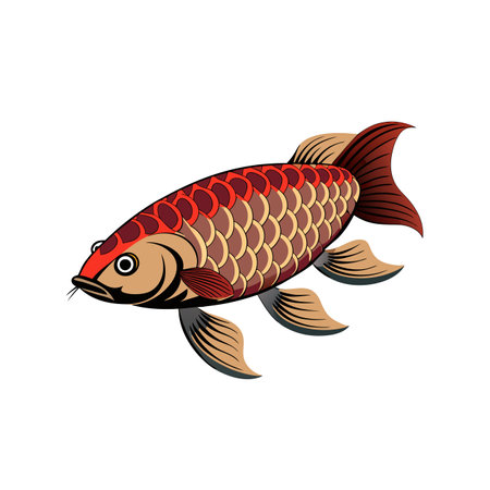 Carp fish isolated on white background. Vector illustration in cartoon style.のイラスト素材