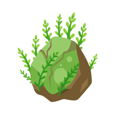 Green algae on a rock, cartoon vector Illustration isolated on a white background.のイラスト素材