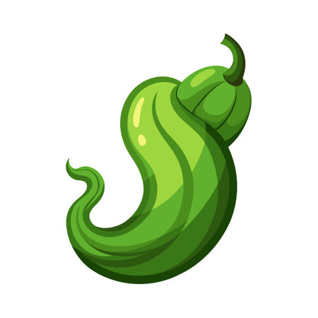 Green hot chili pepper icon. Cartoon illustration of green hot chili pepper vector icon for web designのイラスト素材
