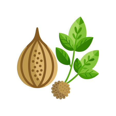 Nutmeg icon. Flat illustration of nutmeg vector icon for web designのイラスト素材