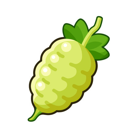 Gooseberry icon in cartoon style isolated on white background vector illustrationのイラスト素材