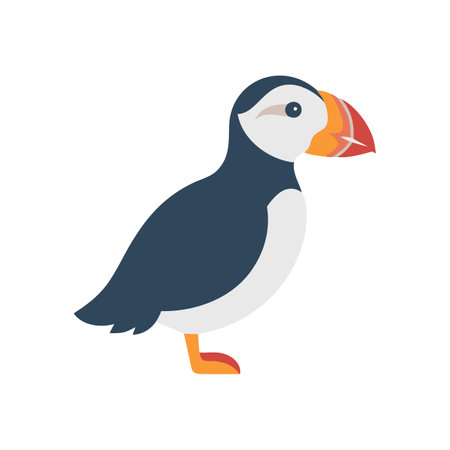 Puffin icon. Flat illustration of puffin icon for web designのイラスト素材