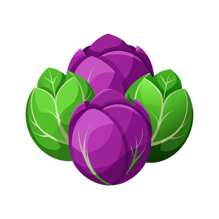 Cabbage icon. Vector illustration of cabbage isolated on white background.のイラスト素材