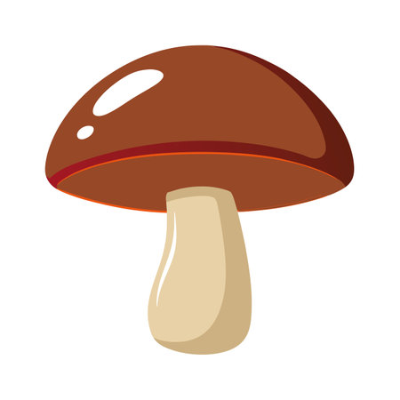 mushroom isolated illustration on white background. vector mushroom icon.のイラスト素材