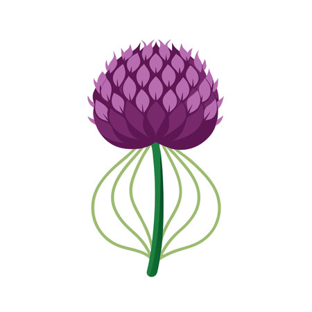 cute flower cardamom icon vector illustraton graphic designのイラスト素材
