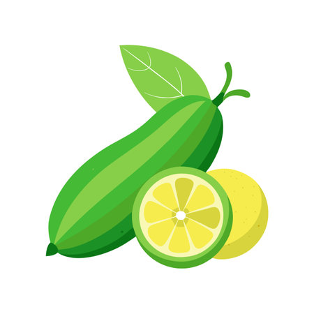 Cucumber and lemon vector Illustration isolated on a white background.のイラスト素材