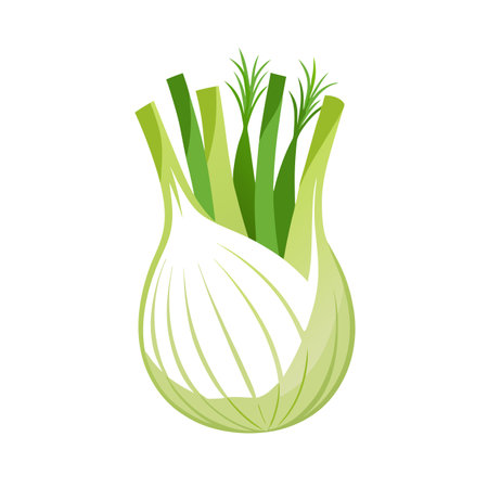 Fennel vegetable icon. Cartoon illustration of fennel vegetable vector icon for web designのイラスト素材