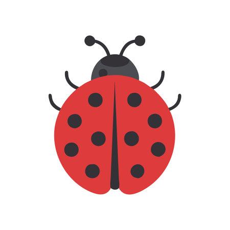 Ladybug icon vector isolated on white background for your web and mobile app design, Ladybug logo conceptのイラスト素材