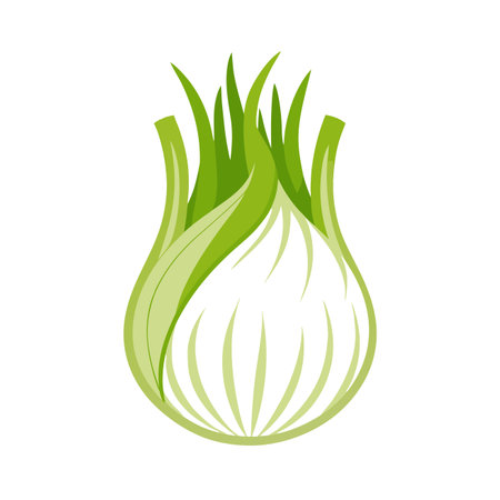 Fennel vegetable icon. Cartoon illustration of fennel vegetable vector icon for web designのイラスト素材