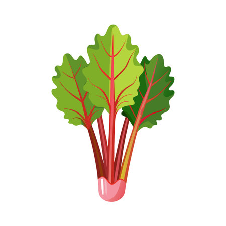 Beetroot vegetable icon. Flat illustration of beetroot vegetable vector icon for web designのイラスト素材