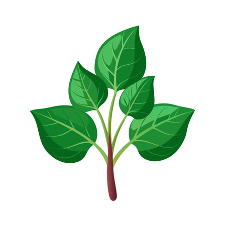 Green leaves on a white background. Vector illustration in cartoon style.のイラスト素材
