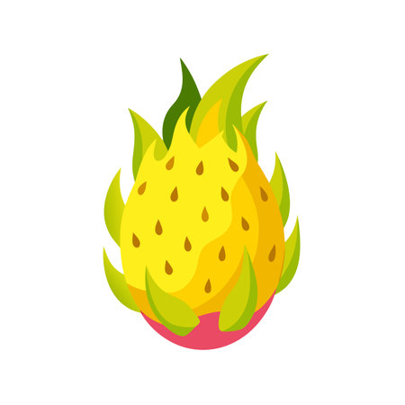 Pitaya icon in isometric 3d style on a white backgroundのイラスト素材