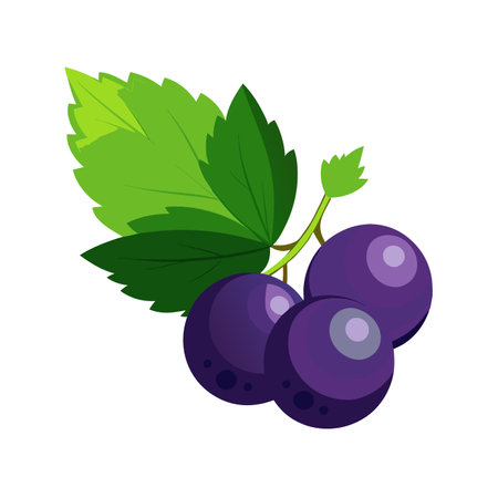 Grapes with leaves isolated on white background. Vector illustration.のイラスト素材