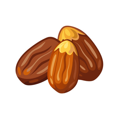 Dried dates fruits isolated on white background. Vector illustration in cartoon style.のイラスト素材