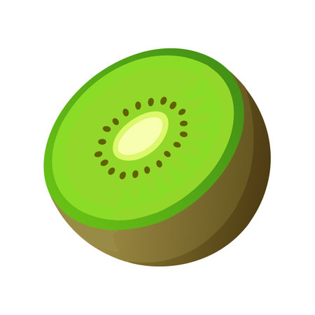 Kiwi fruit isometric 3d icon on a white backgroundのイラスト素材