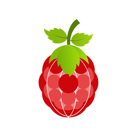 Raspberry fruit icon vector isolated on white background for your web and mobile app design, Raspberry logo conceptのイラスト素材