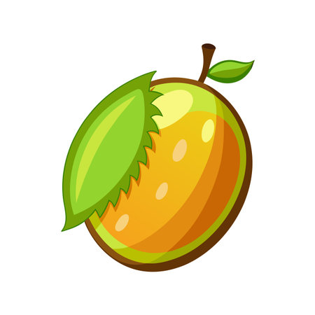 Orange fruit icon. Cartoon illustration of orange fruit vector icon for webのイラスト素材