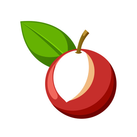 Lychee fruit icon. Cartoon illustration of lychee fruit vector icon for web designのイラスト素材