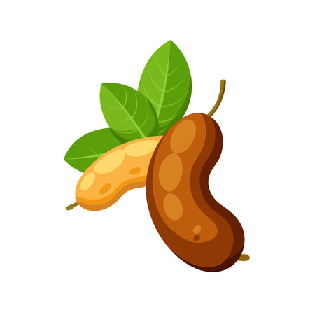 Tamarind fruit with leaves, cartoon vector illustration isolated on white background.のイラスト素材