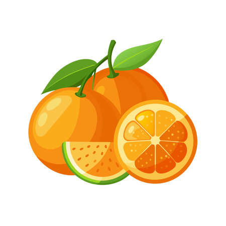 Orange fruit isolated on white background. Vector illustration in cartoon style.のイラスト素材