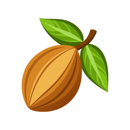 Coconut icon. Cartoon illustration of coconut vector icon for web designのイラスト素材
