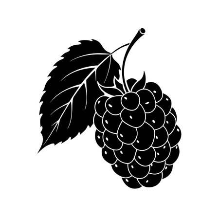 Blackberry icon. Isolated berry on white background. Vector illustrationのイラスト素材