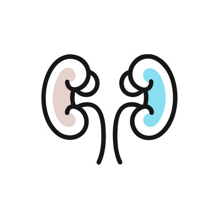 Kidney icon. Uterus, human organ. Vector illustration.のイラスト素材