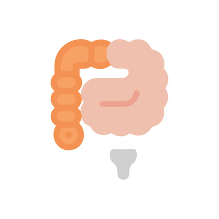 Human digestive system icon in flat color style. Digestive system anatomyのイラスト素材