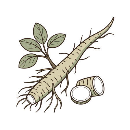 Root of banyan tree. Vector illustration isolated on white background.のイラスト素材