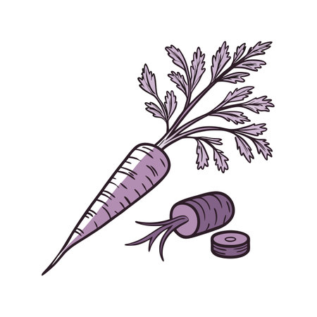 Carrot with leaves and slices. Hand drawn vector illustration isolated on white background.のイラスト素材