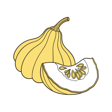 Pumpkin icon in doodle style on a white backgroundのイラスト素材